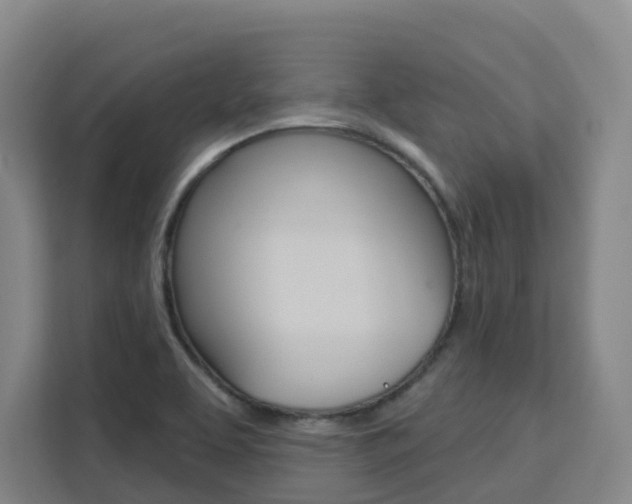 X0000111511463200907141054