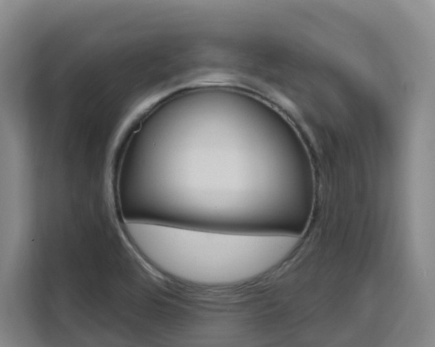 X0000111511464200907141054