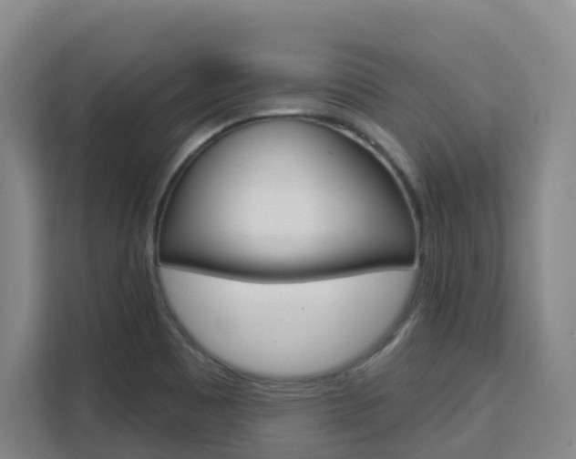 X0000111511465200907141054