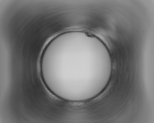 X0000111511466200907141054