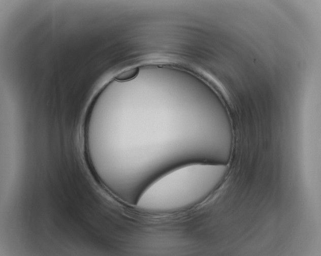 X0000111511467200907141054