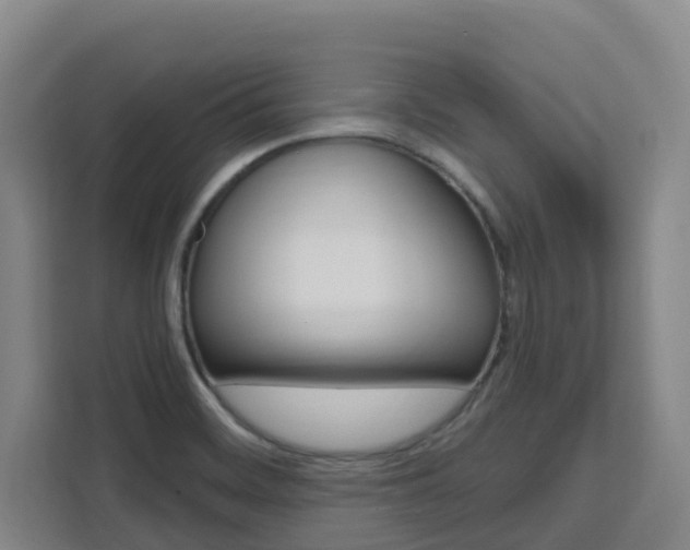 X0000111511468200907141054