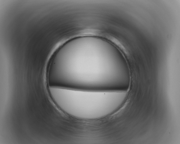 X0000111511469200907141054
