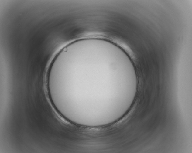 X0000111511470200907141054