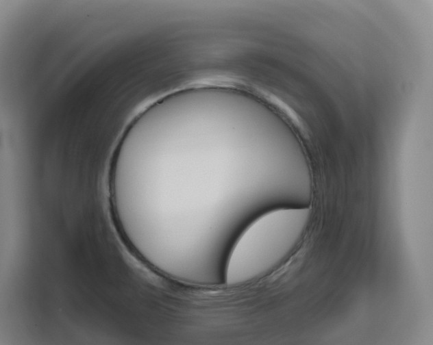 X0000111511471200907141054