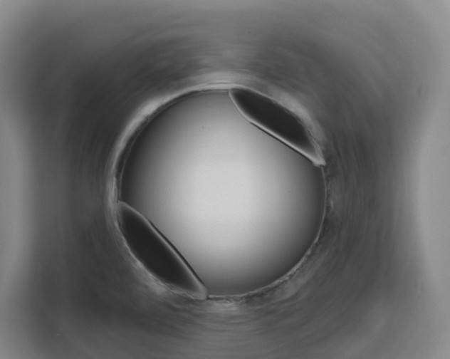 X0000111511472200907141054