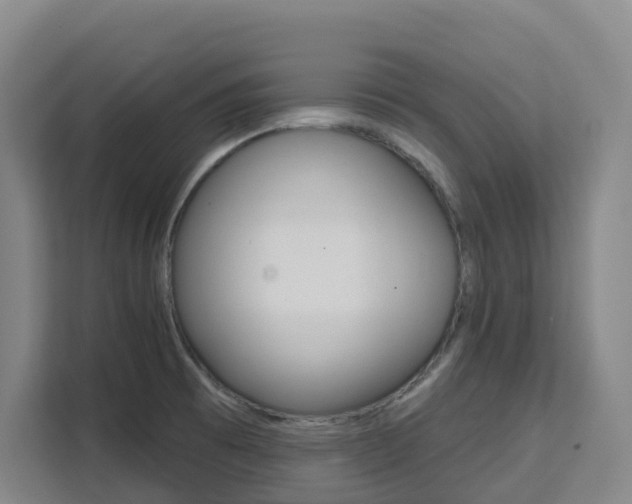 X0000111511473200907141054