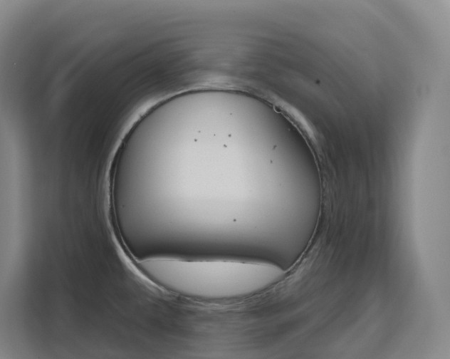 X0000111511479200907141054