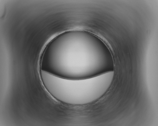 X0000111511480200907141054