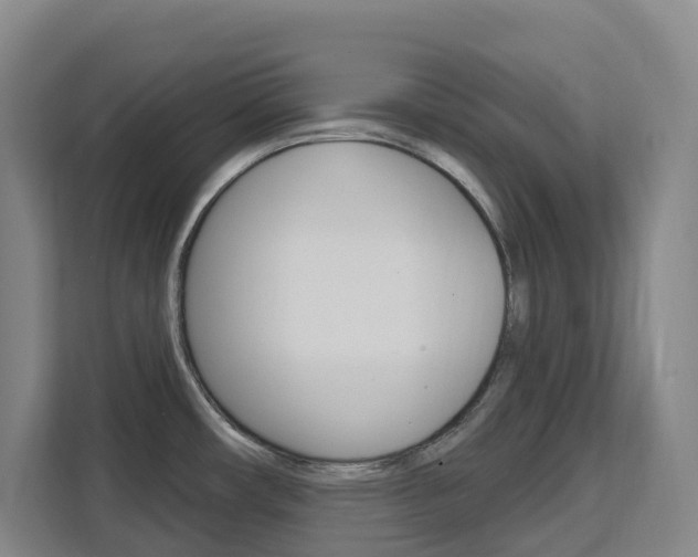 X0000111511482200907141054