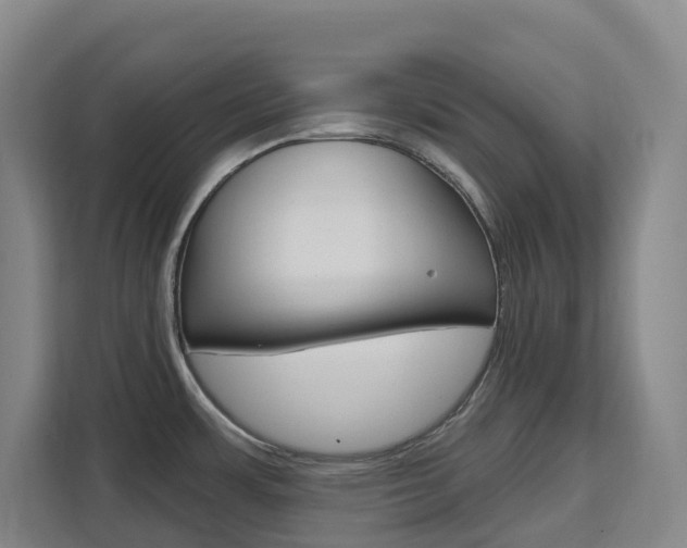 X0000111511483200907141054