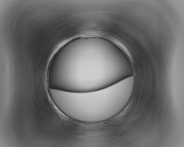 X0000111511485200907141054