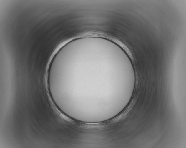 X0000111511486200907141054