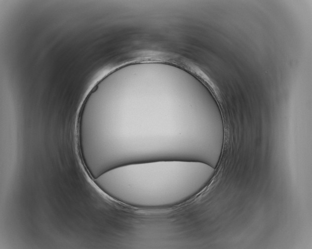 X0000111511487200907141054