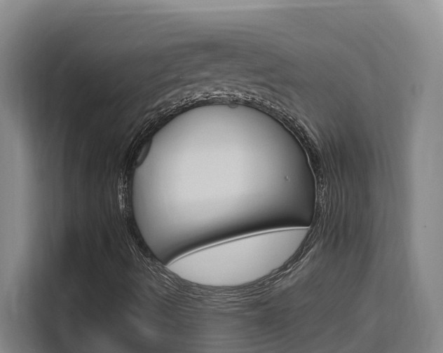 X0000111511490200907141053