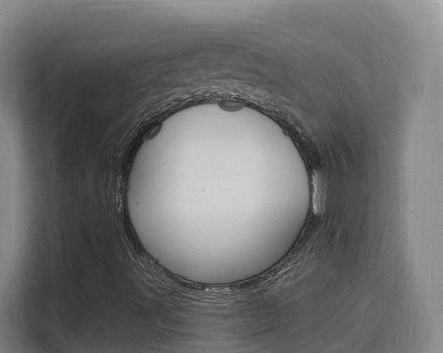 X0000111511491200907141053