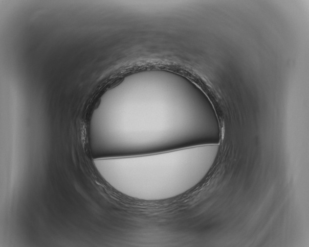 X0000111511492200907141053