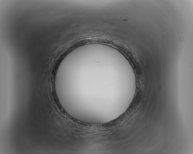 X0000111511493200907141053