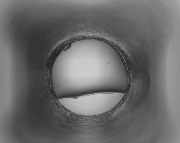 X0000111511494200907141053
