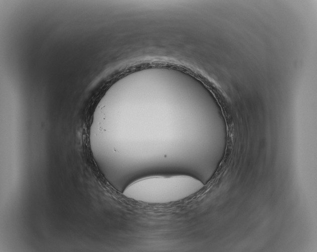 X0000111511495200907141053