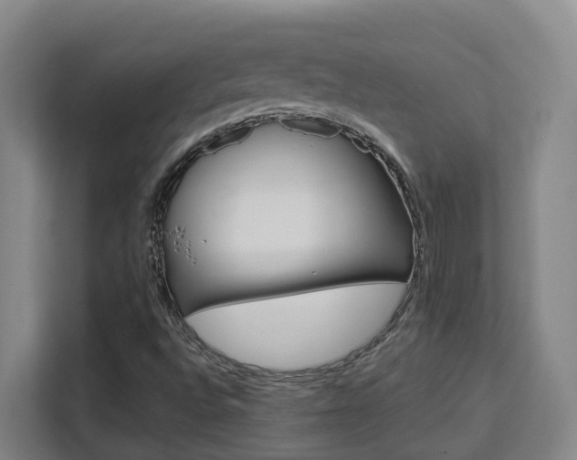 X0000111511496200907141053