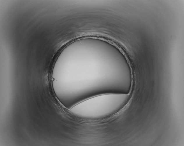 X0000111511497200907141053