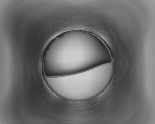 X0000111511500200907141053