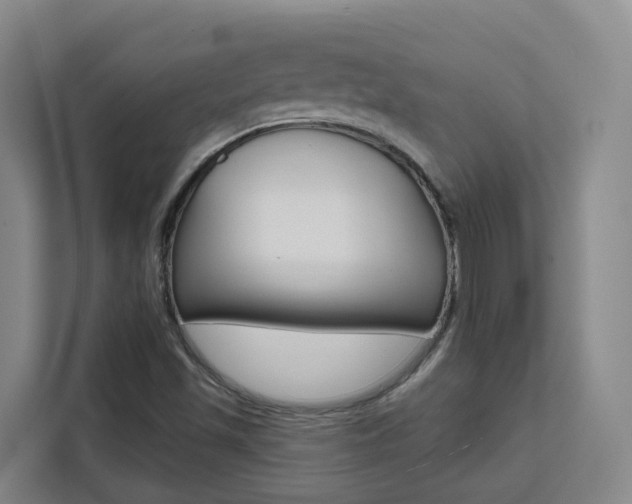 X0000111511501200907141053