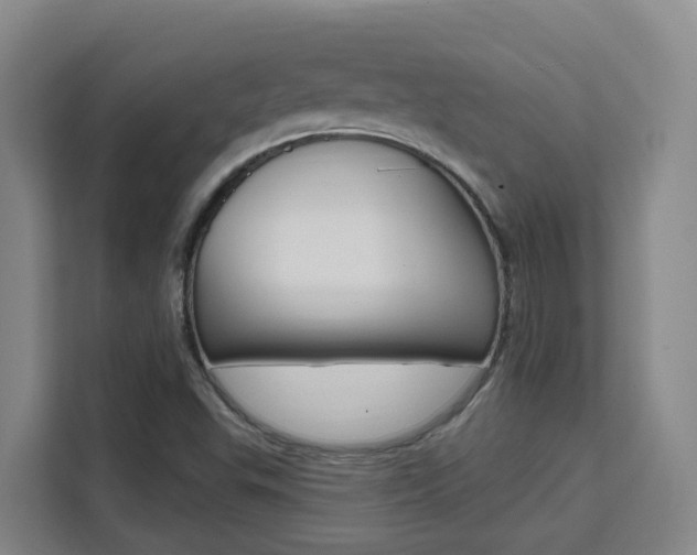 X0000111511503200907141053