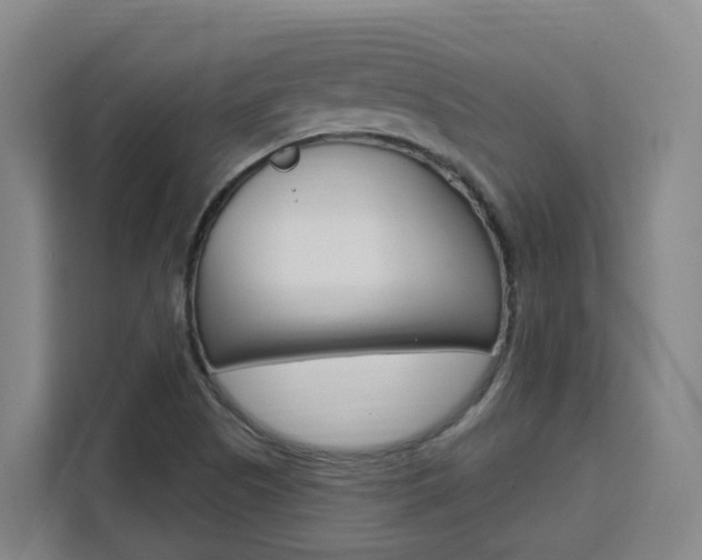 X0000111511505200907141053