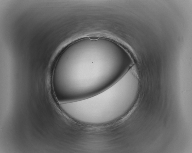 X0000111511506200907141053
