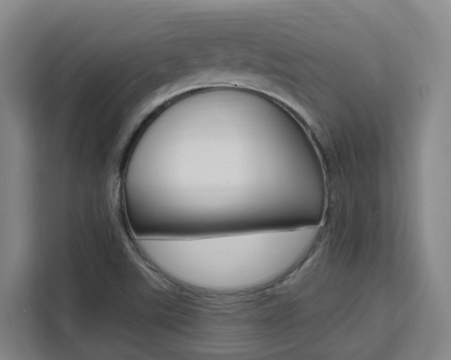 X0000111511507200907141053