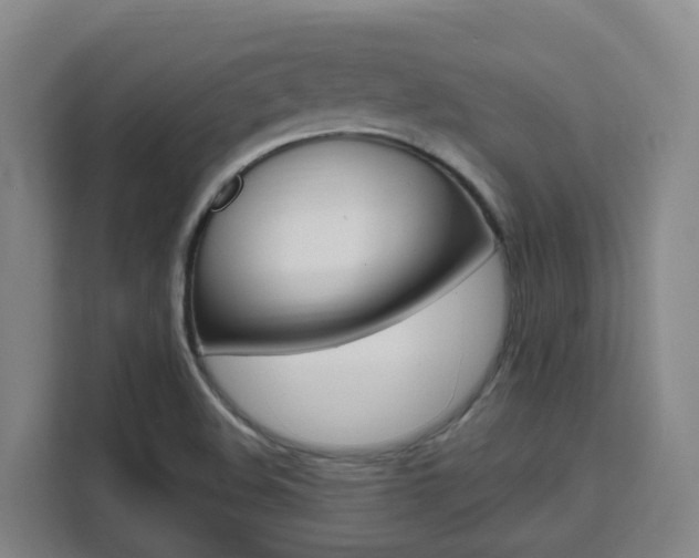 X0000111511508200907141053