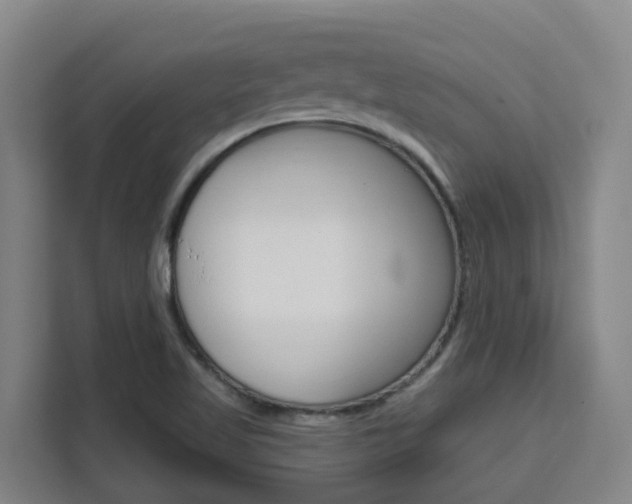 X0000111511509200907141053