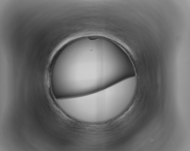 X0000111511510200907141053