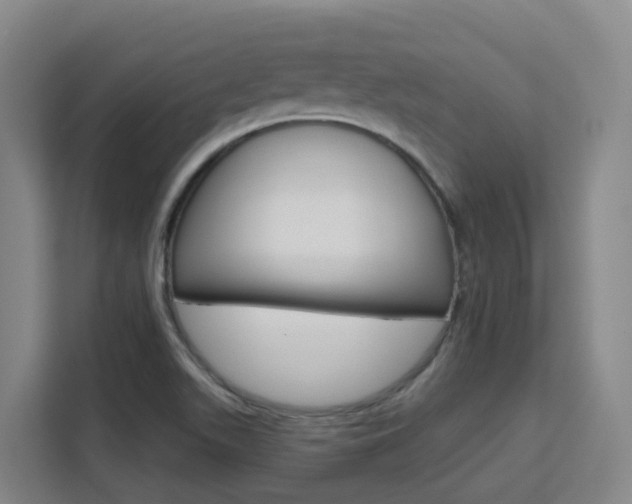 X0000111511511200907141053