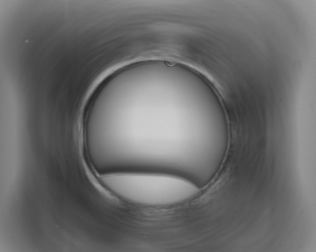 X0000111511515200907141053