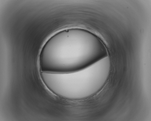 X0000111511516200907141053