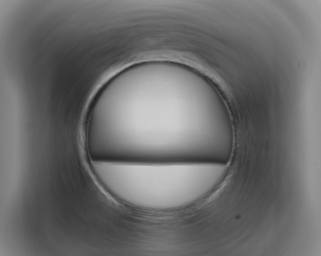 X0000111511517200907141053