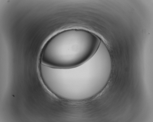 X0000111511518200907141053