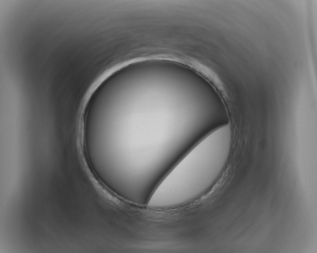 X0000111511520200907141053