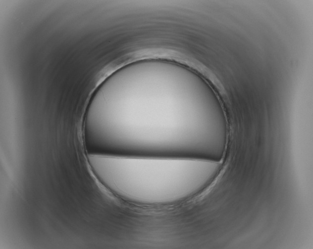 X0000111511521200907141053