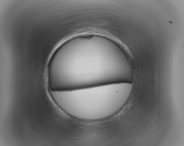 X0000111511522200907141053