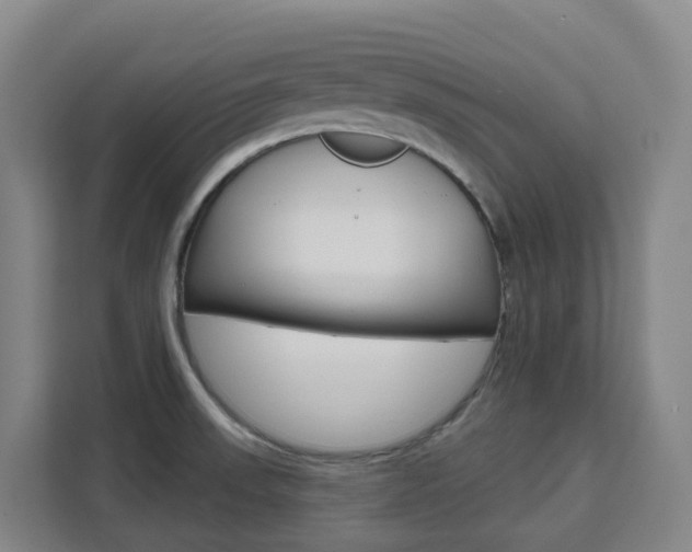 X0000111511523200907141053