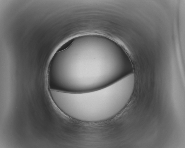 X0000111511524200907141053