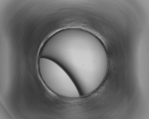 X0000111511525200907141053