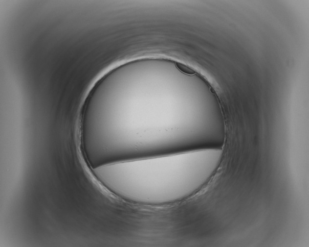 X0000111511526200907141053