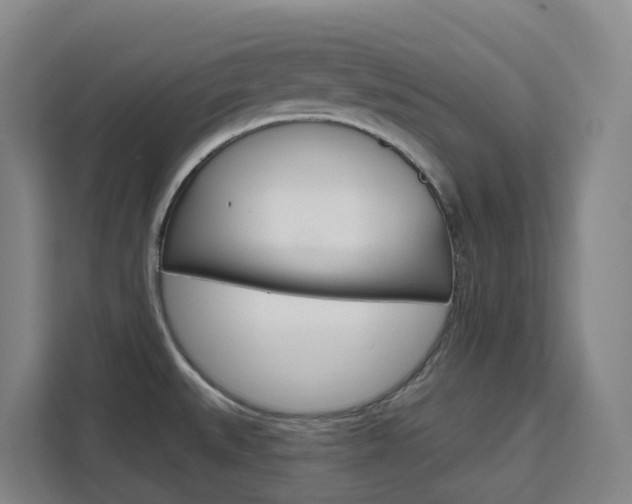 X0000111511527200907141053