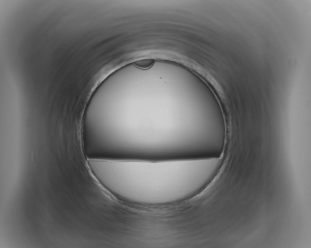 X0000111511529200907141053