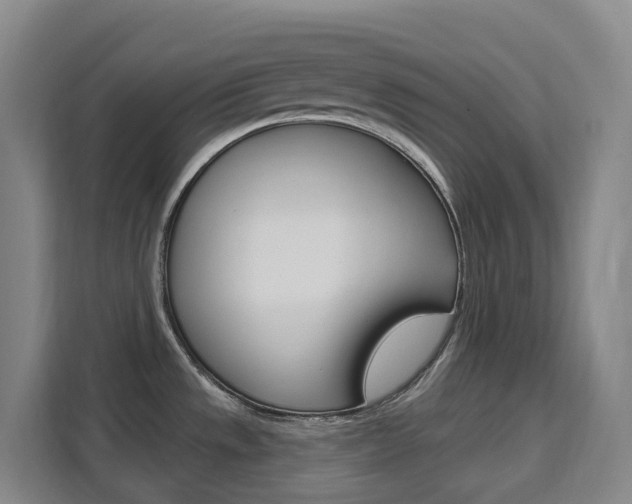 X0000111511533200907141053